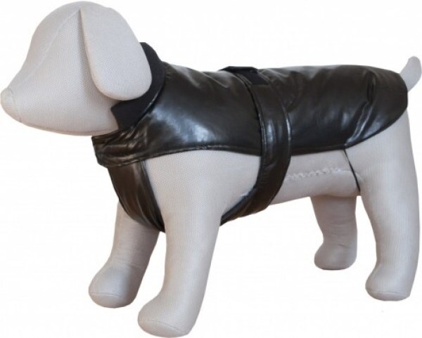 thumb_kozepes_1562146466_czi130645b